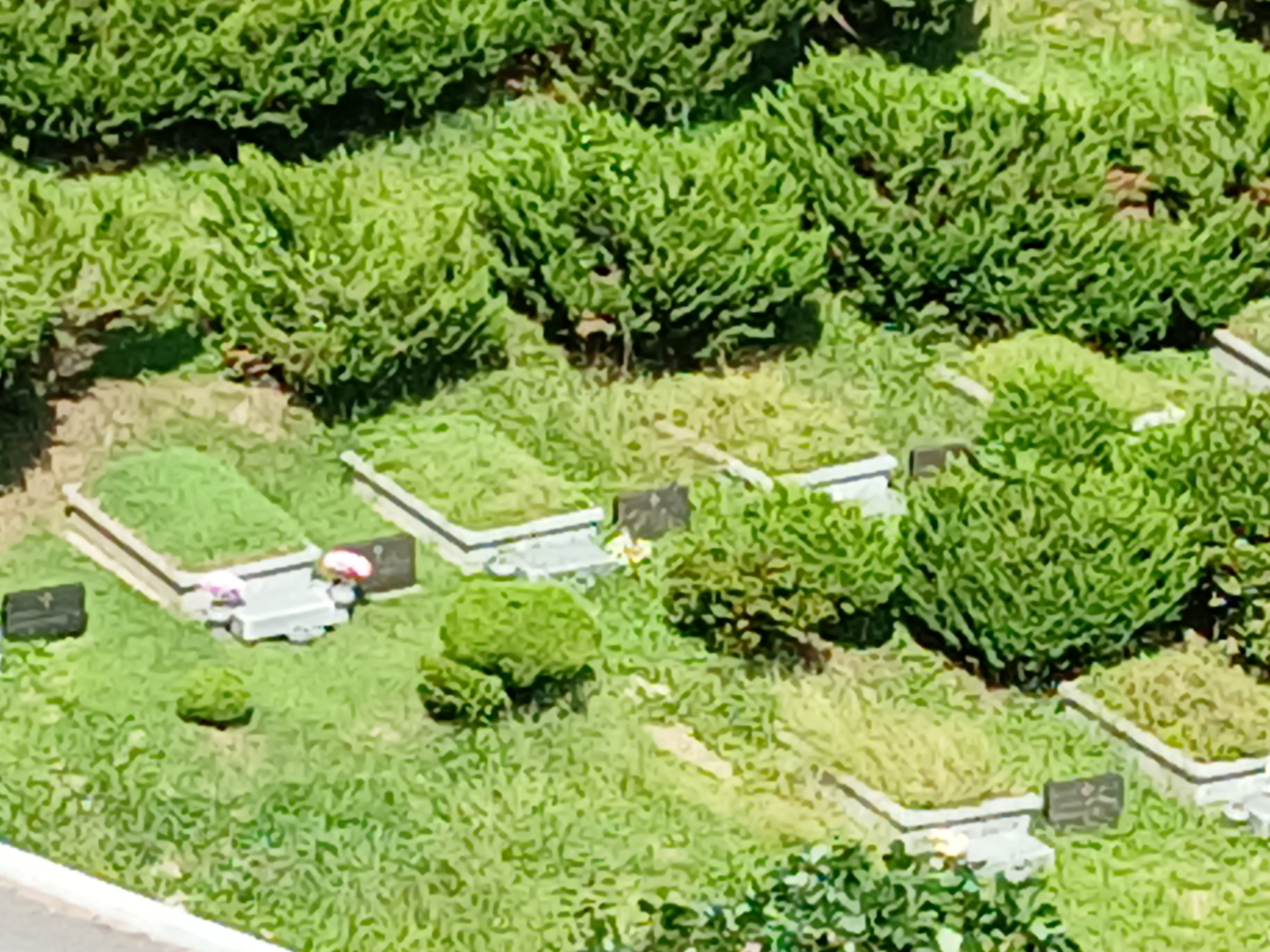 매장